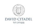 The David Citadel Hotel - Logo