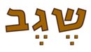 שגב ארט