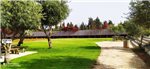 Havat organi green