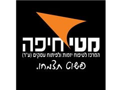wise Haifa - Logo