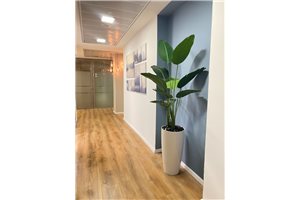 Coworking space in Tel Aviv - Y.D 40