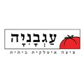 פיצה עגבניה