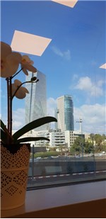 Macom lemahshava TLV