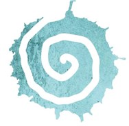 Haspirala Binyamina - Logo