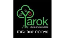 מרעיון להמצאה - מפגש שני