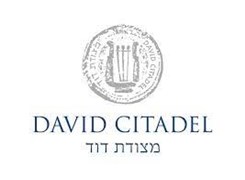 The David Citadel Hotel - Logo
