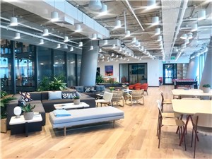 סקירת WeWork תוהא