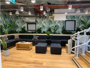 סקירת WeWork שוקן