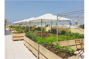 Coworking space in tel aviv - H&H- Hotel and Hub