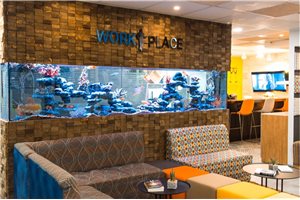 Meeting rooms in Work-Place rehovot